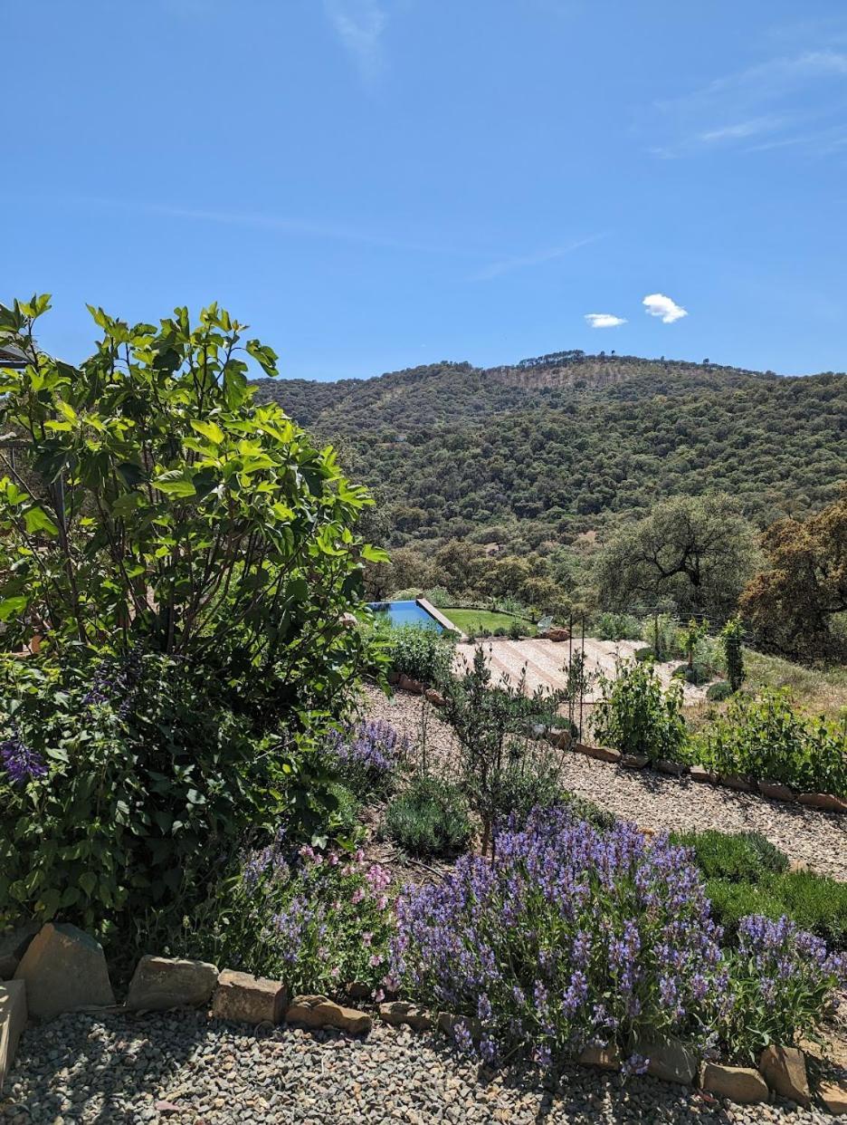 Finca Bravo Cortegana Exterior photo